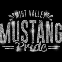 GLT62 SILVER GLITTER Thumbnail