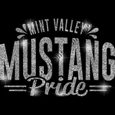 GLT62 SILVER GLITTER Thumbnail